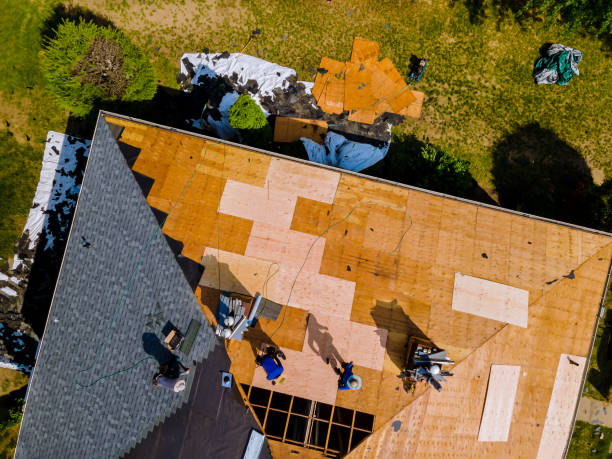 Best Storm Damage Roof Repair  in Rogers, TX